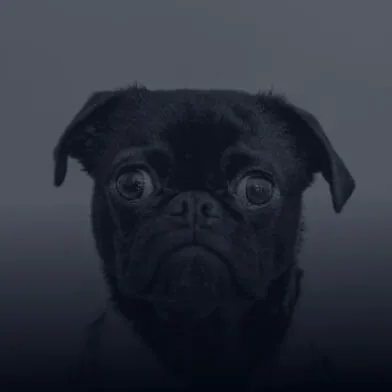 Uh oh. That page doesn't exist. - 1XBET体育APP