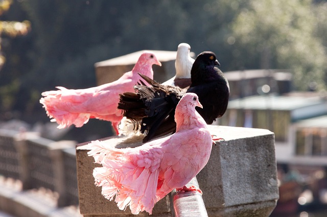 这背后藏着 这背后藏着