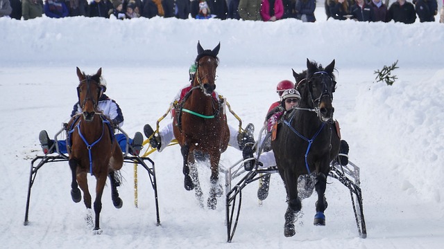 年切尔西的 年切尔西的