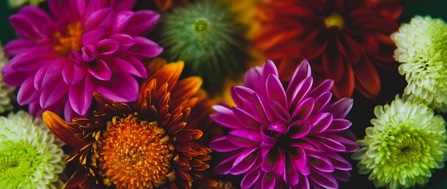 王楚钦率领 王楚钦率领