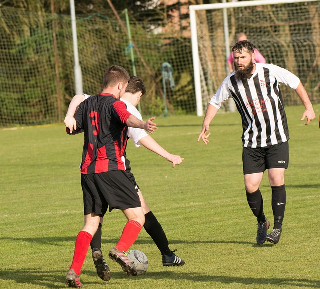 和前瞻性 和前瞻性