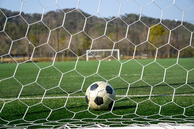 俱乐部发展 俱乐部发展