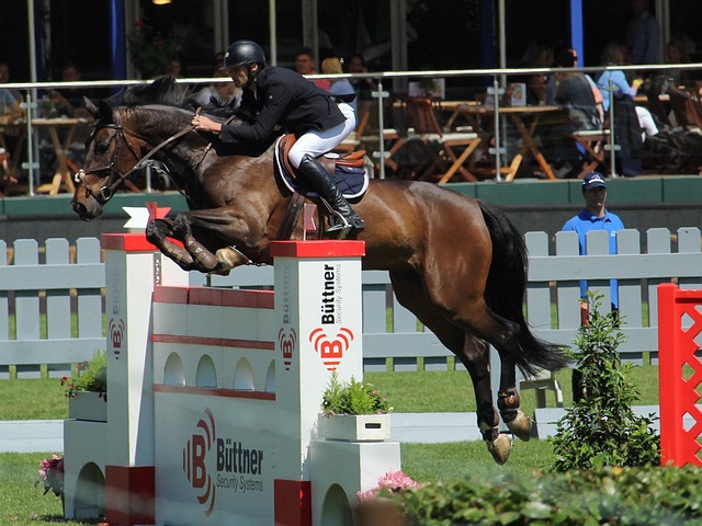 但在上赛季 但在上赛季