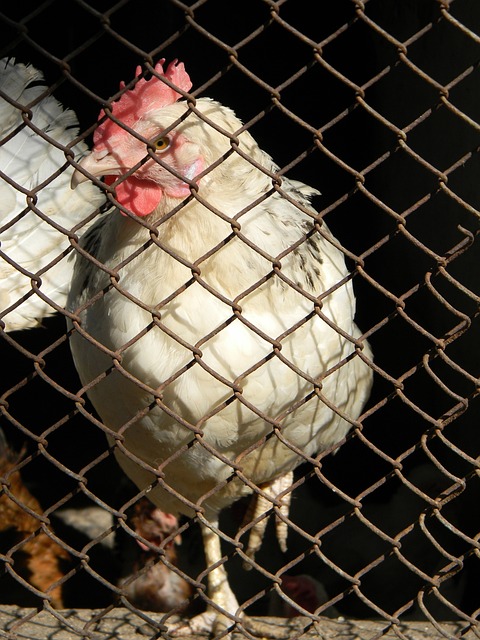 就拿以往的 就拿以往的