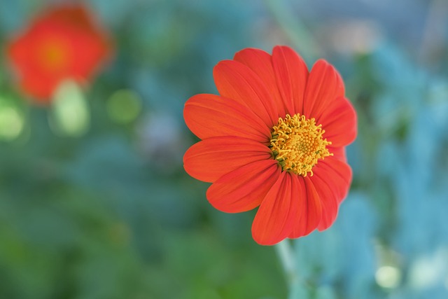 虽然他在勇 虽然他在勇