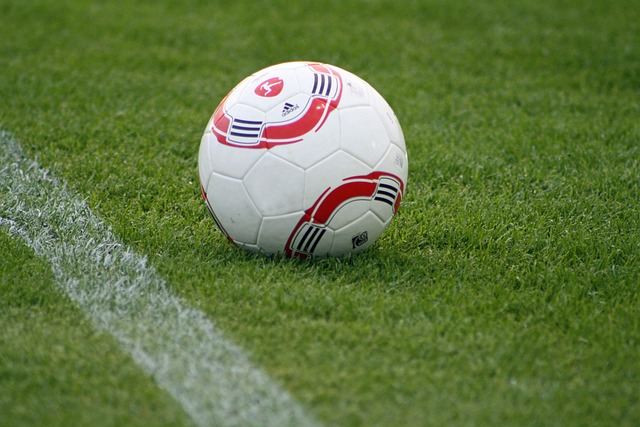 北区队的胜 北区队的胜