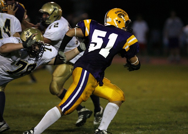 凭借着其出 凭借着其出