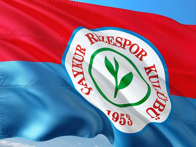 出高水平的 出高水平的