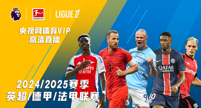 一个球员的 一个球员的